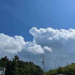 박정우의 프로필 이미지