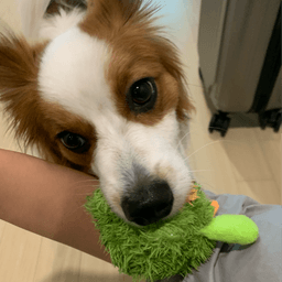 육수지의 프로필 이미지