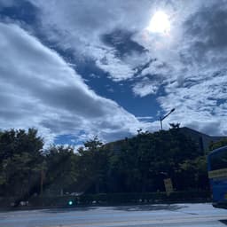 김상우의 프로필 이미지