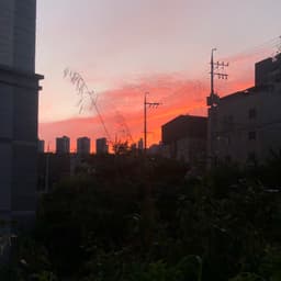 김청아의 프로필 이미지