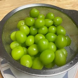 함형선의 프로필 이미지
