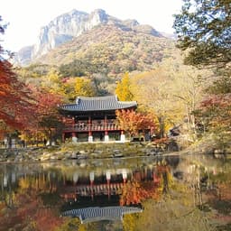 김문수의 프로필 이미지