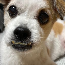 사용자 프로필 1