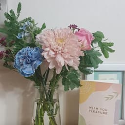 이정현의 프로필 이미지