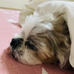 최호철의 프로필 이미지