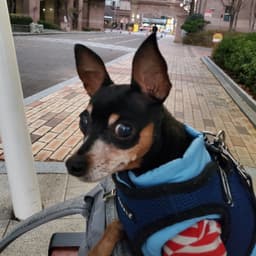 하유민의 프로필 이미지