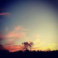 박용은의 프로필 이미지