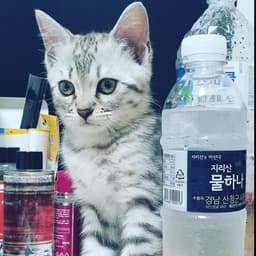 김현모의 프로필 이미지
