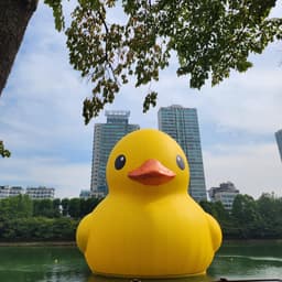 허초코의 프로필 이미지