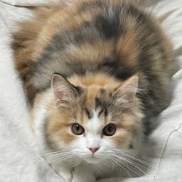 백기현의 프로필 이미지