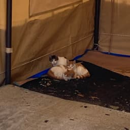 임동영의 프로필 이미지