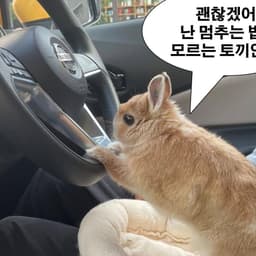 정은진의 프로필 이미지