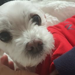김돈혁의 프로필 이미지