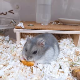 황채림의 프로필 이미지