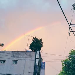 KC의 프로필 이미지