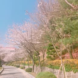 장예솔의 프로필 이미지