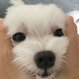 이정현의 프로필 이미지