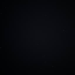 전나영의 프로필 이미지