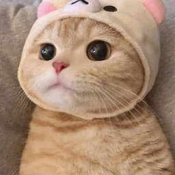 임소정의 프로필 이미지