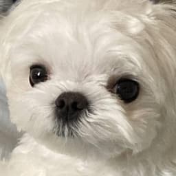 이종수의 프로필 이미지