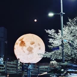 이주호의 프로필 이미지