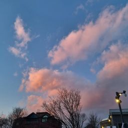 사용자 프로필 1