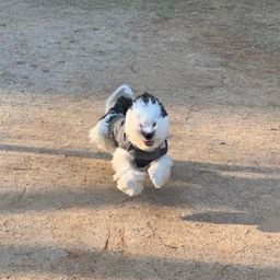 사용자 프로필 1