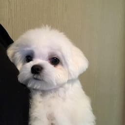 정수비의 프로필 이미지