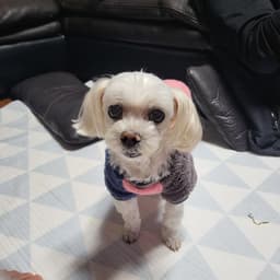 박경준의 프로필 이미지