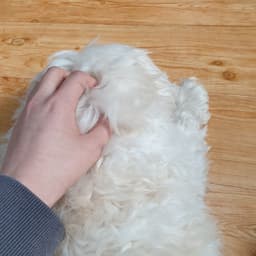 강지수의 프로필 이미지