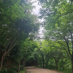 이서현의 프로필 이미지