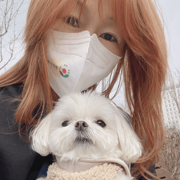 이정아의 프로필 이미지