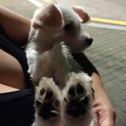 위유미의 프로필 이미지