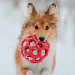 사용자 프로필 1