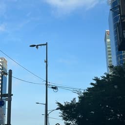 인수진의 프로필 이미지