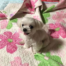 사용자 프로필 1