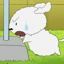 조마리의 프로필 이미지