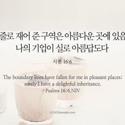 LimStacy의 프로필 이미지
