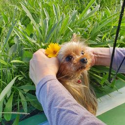 사용자 프로필 1