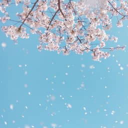 김유빈의 프로필 이미지