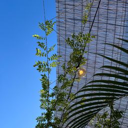 사용자 프로필 1