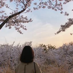 조희정의 프로필 이미지