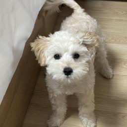 사용자 프로필 1