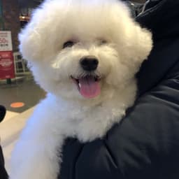 송하늘의 프로필 이미지