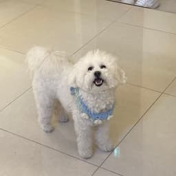홍지호의 프로필 이미지