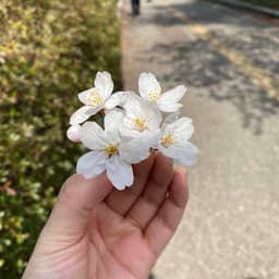 지현의 프로필 이미지