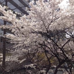 양경민의 프로필 이미지