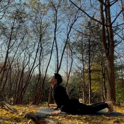 김도형의 프로필 이미지