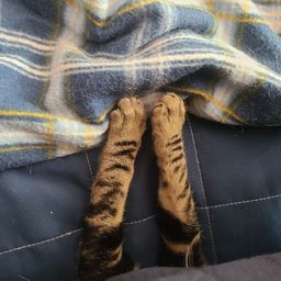 사용자 프로필 1