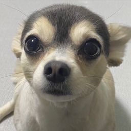 사용자 프로필 1